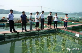 立體分層 生態(tài)循環(huán) 廣西梧州推廣新型生態(tài)養(yǎng)魚(yú)網(wǎng)箱模式