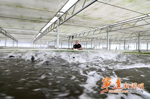 寧遠(yuǎn) 工廠化循環(huán)水養(yǎng)魚(yú)，助力村民增收與畜牧業(yè)飼料升級(jí)